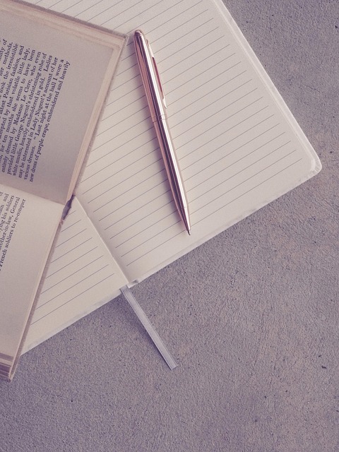 Notebook page filled with handwriting practice sentences in neat script
